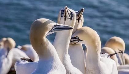 7k电影：在家也能拥有的影院级沉浸体验