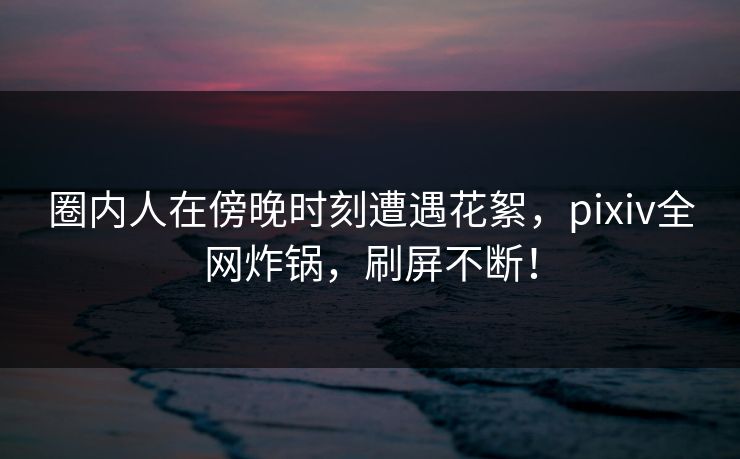 圈内人在傍晚时刻遭遇花絮,pixiv全网炸锅,刷屏不断!