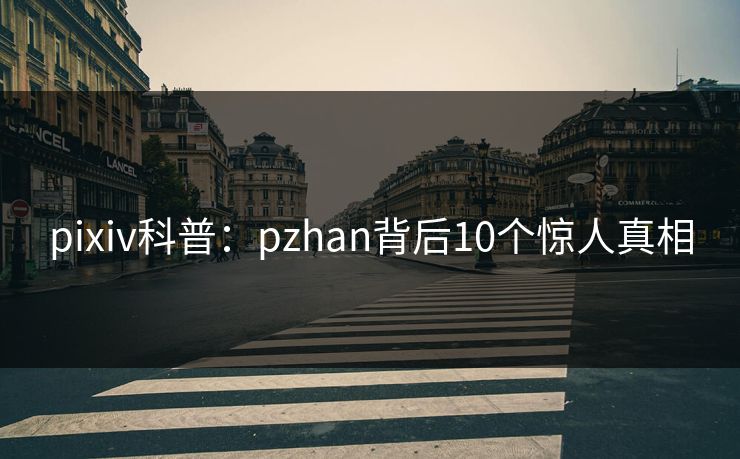 pixiv科普：pzhan背后10个惊人真相
