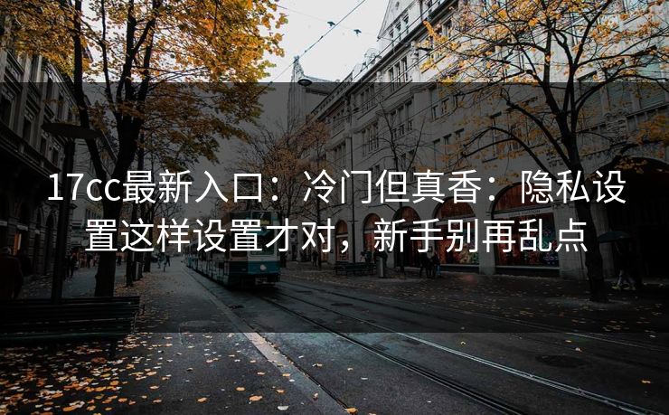 17cc最新入口：冷门但真香：隐私设置这样设置才对，新手别再乱点